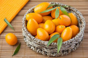 Kumquat 