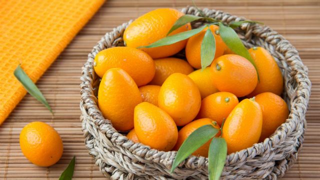 Kumquat