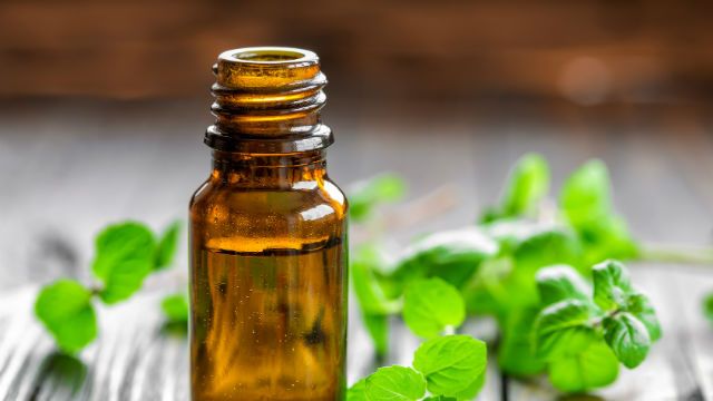 Mint oil