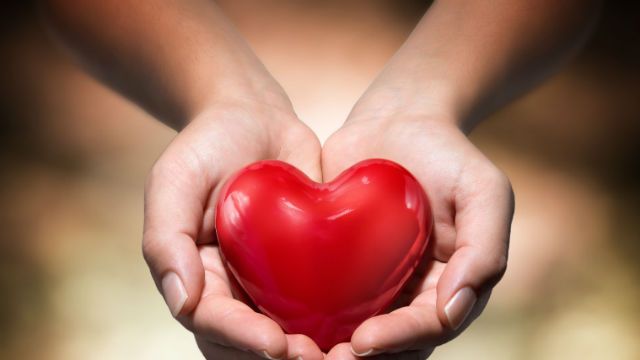 heart in heart hands- warm background