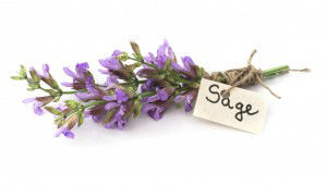 sage flower