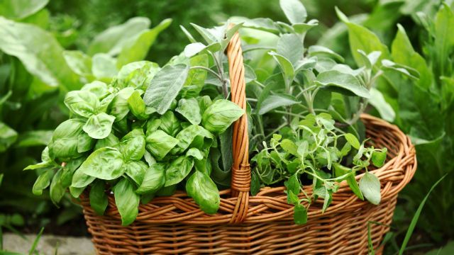 Baskets with herbs