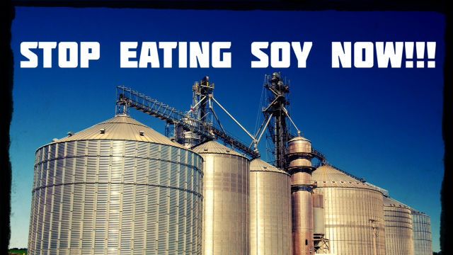 commercial soy