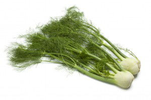 Whole fennel bulbs with green foliage