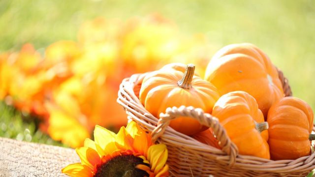 Pumpkin Season is Here: 3 Fun and Delicious Recipes