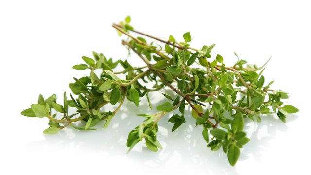 Fresh thyme