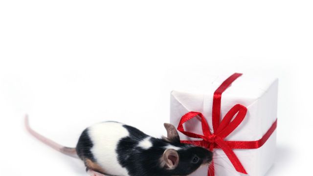 finding a present
