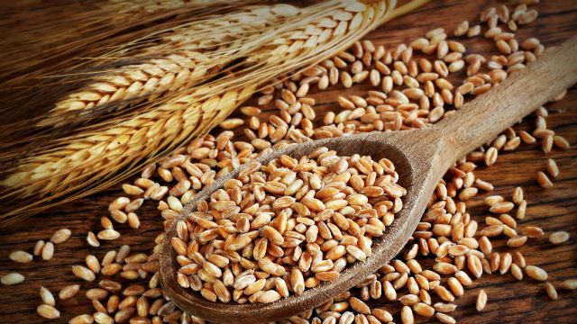 grain