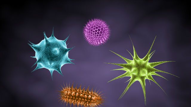 microbes
