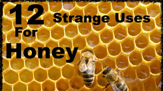 honey