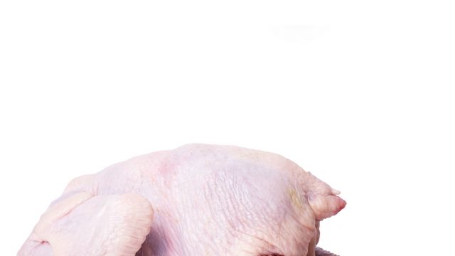 chicken