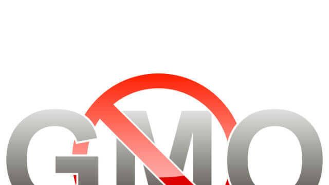 gmo