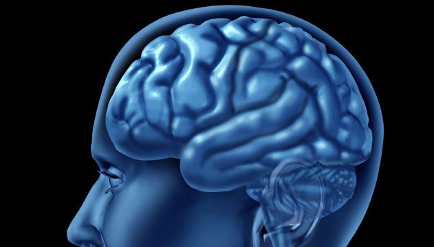 Brain_3