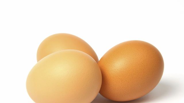 eggs