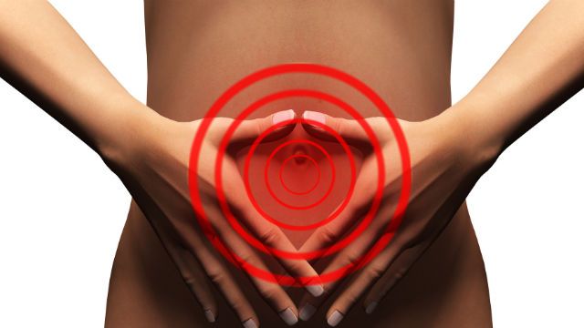 gut
