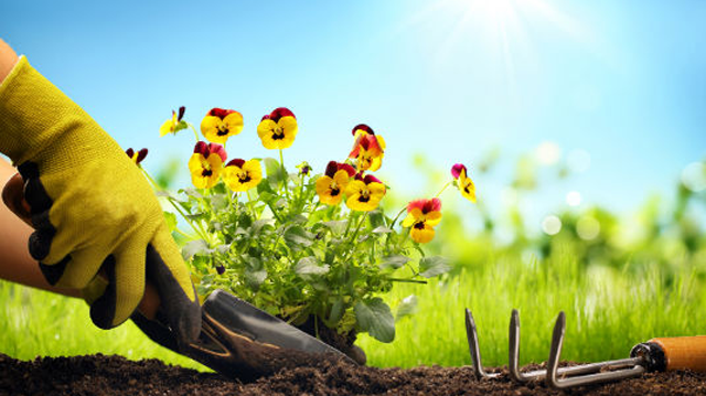 garden-640x359