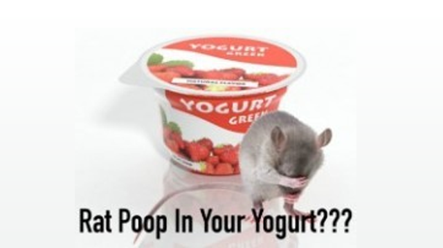 rat poop