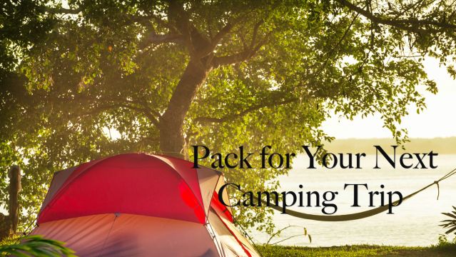 survival camping