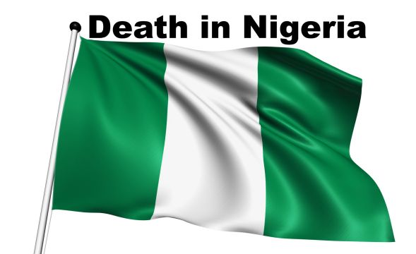 Nigeria flag with fabric structure on white background