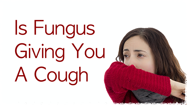 Can you cold me