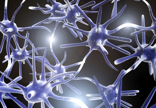 Impulses of neurons