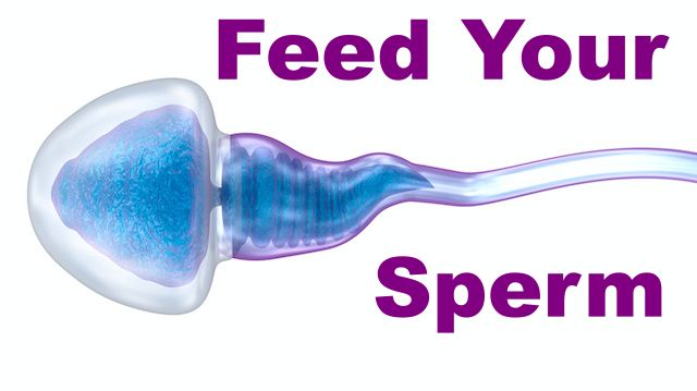 best food for sperm production