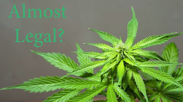 marijuana