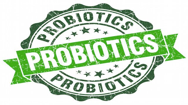 probiotics green vintage seal isolated on white
