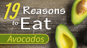 eat avocados 