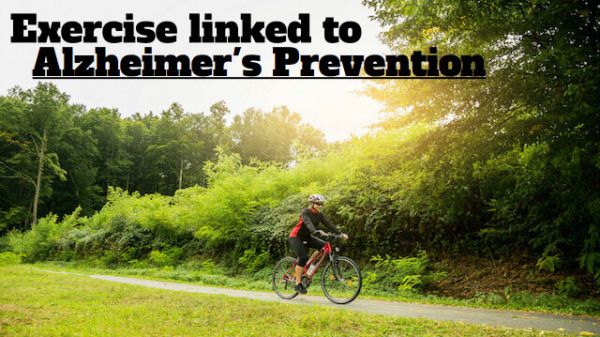 New Studies Confirm: Exercise Not Only Prevents Alzheimer’s, It Works ...