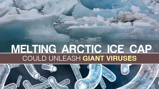 Melting Arctic Ice Cap Could Unleash Giant Viruses