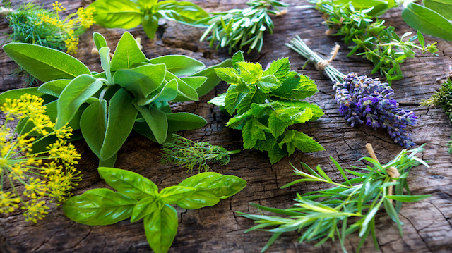 Fresh herbs on wooden background