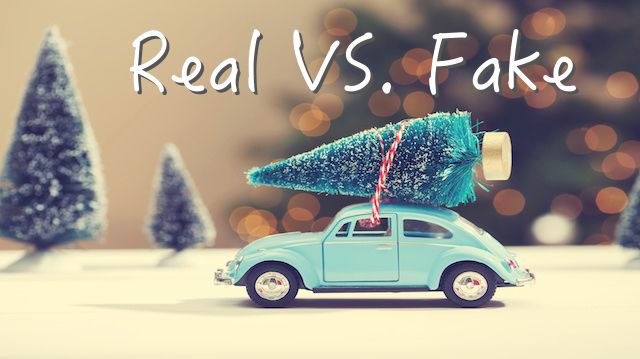 Real vs. Fake Christmas Trees: Which Is Better?
