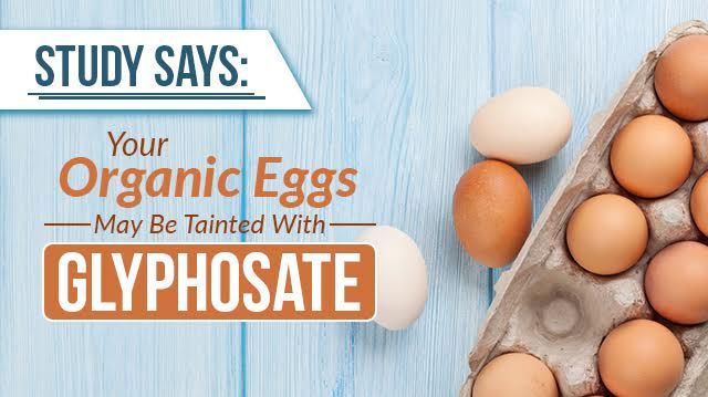 EGGS