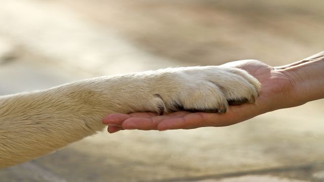 Best friends