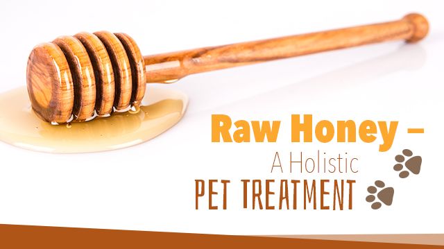 RawHoneyAHolisticPetTreatment_640x359