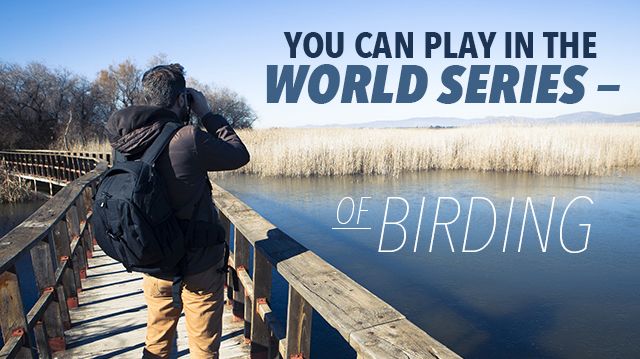 YouCanPlayWorldSeriesBirding_640x359