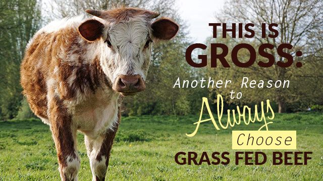 alwayseatgrassfedbeef_640x359