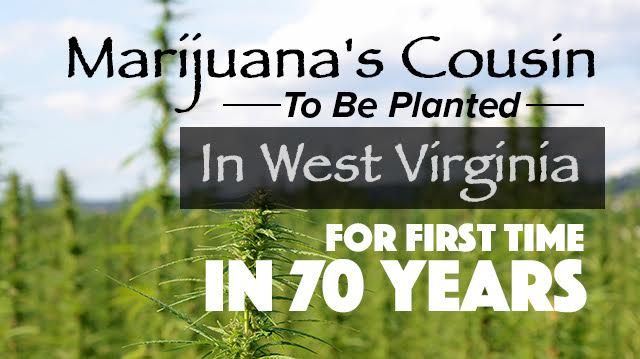 wv