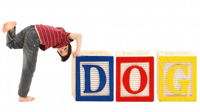 Alphabet Blocks and Adorable Boy DOG