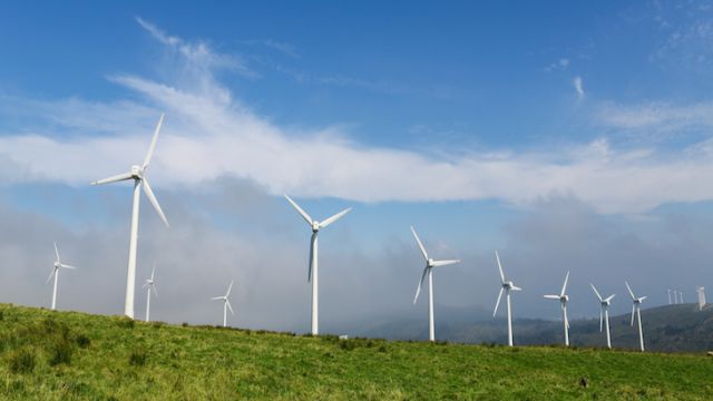 Wind farm