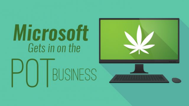 microsoftgetsinonthepotbusiness_730x410