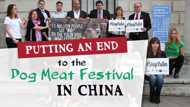 puttinganendtodogmeatfest_730x410 (1)