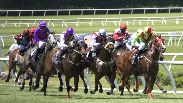 middle-schooler-rescues-racehorse