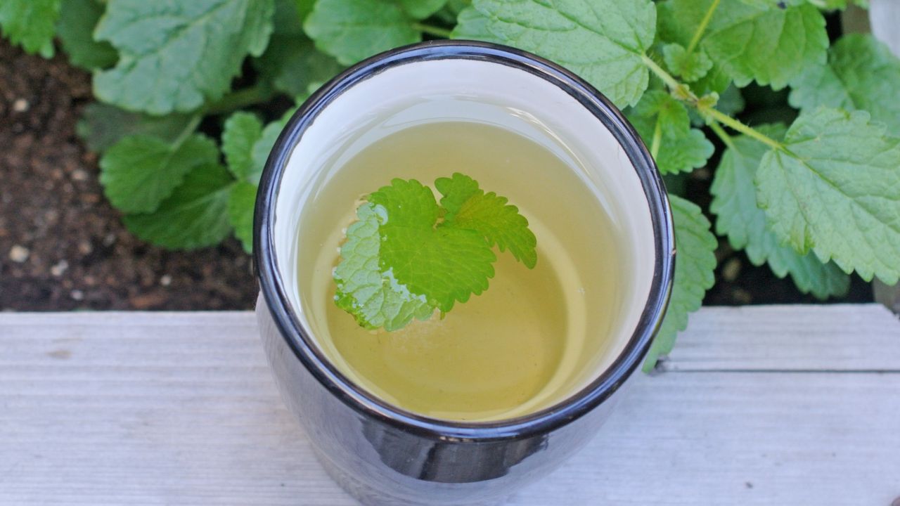 Can’t Sleep? Try This Lemon Balm Tea