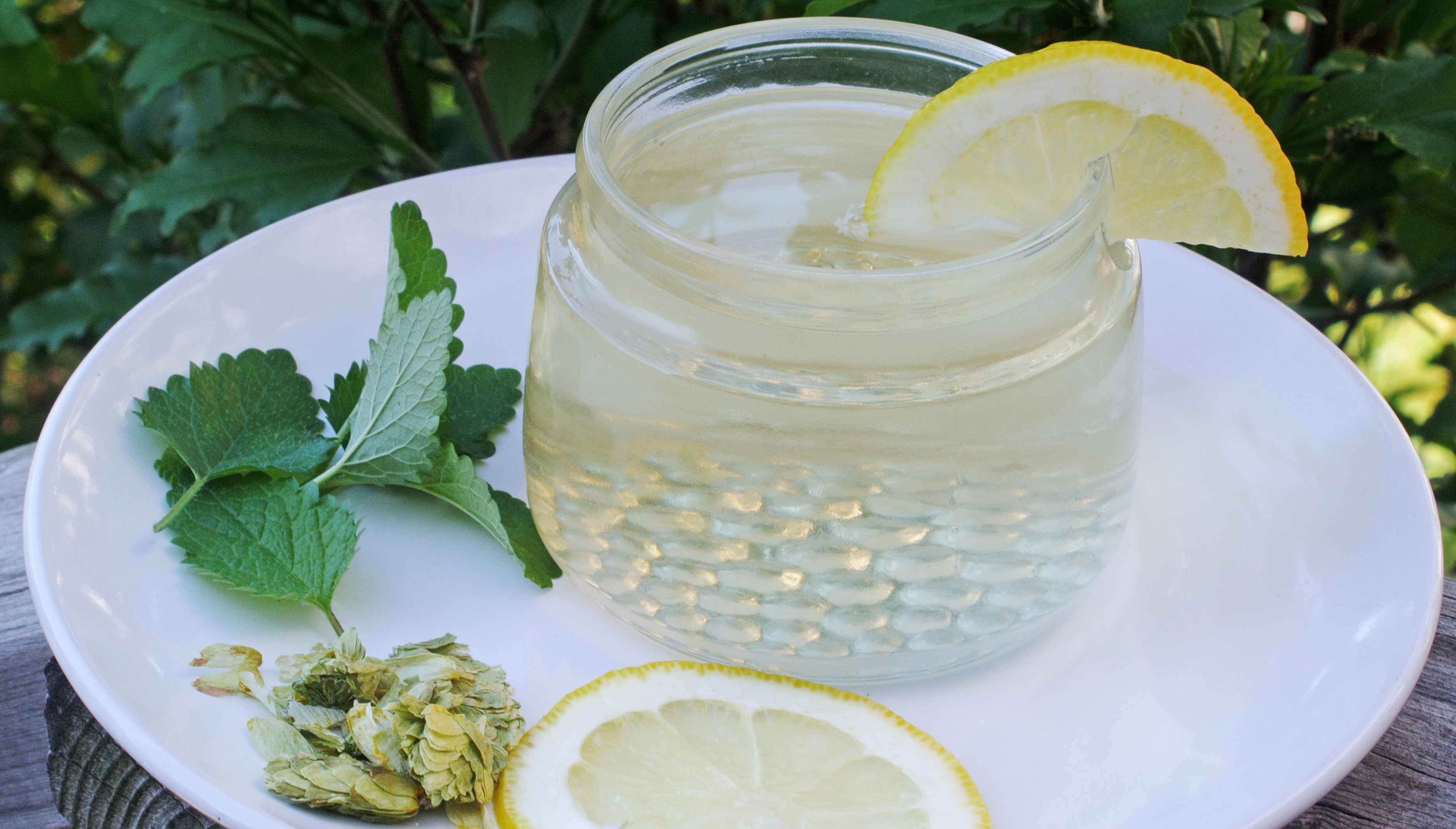 What Is Lemon Balm Drink