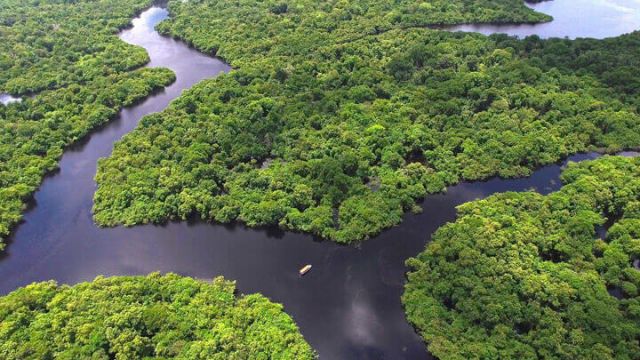 saving-the-environment-through-charity