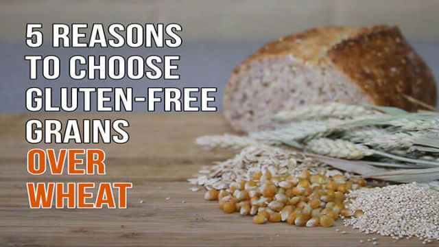 gluten-free-grains