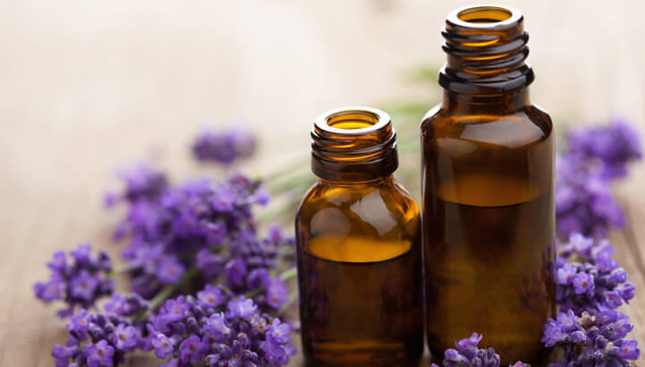 lavender-essential-oils