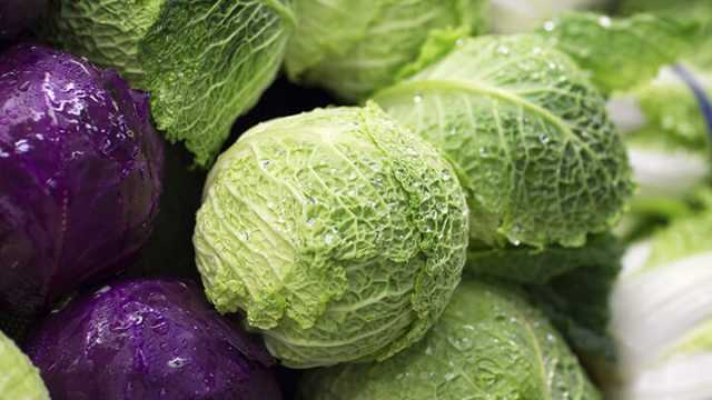 Cabbage